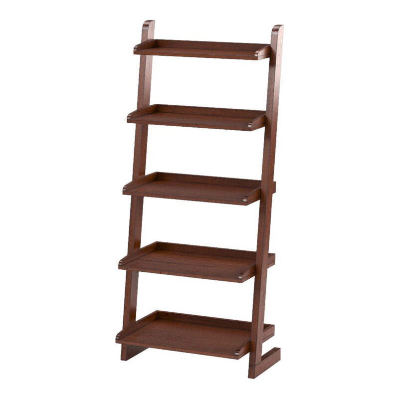 Furniture of America Carley 5-Shelf Ladder Leaning Bookcase, Antique Oak